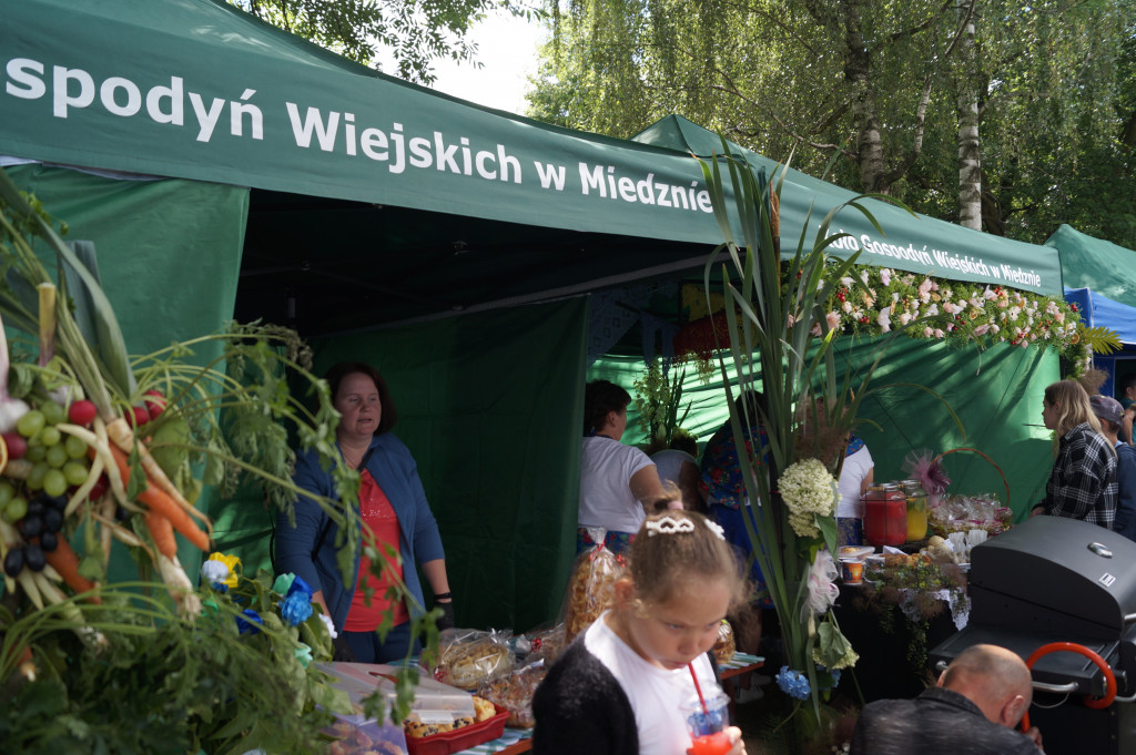 Najlepsze pierogi tylko w Miedznie