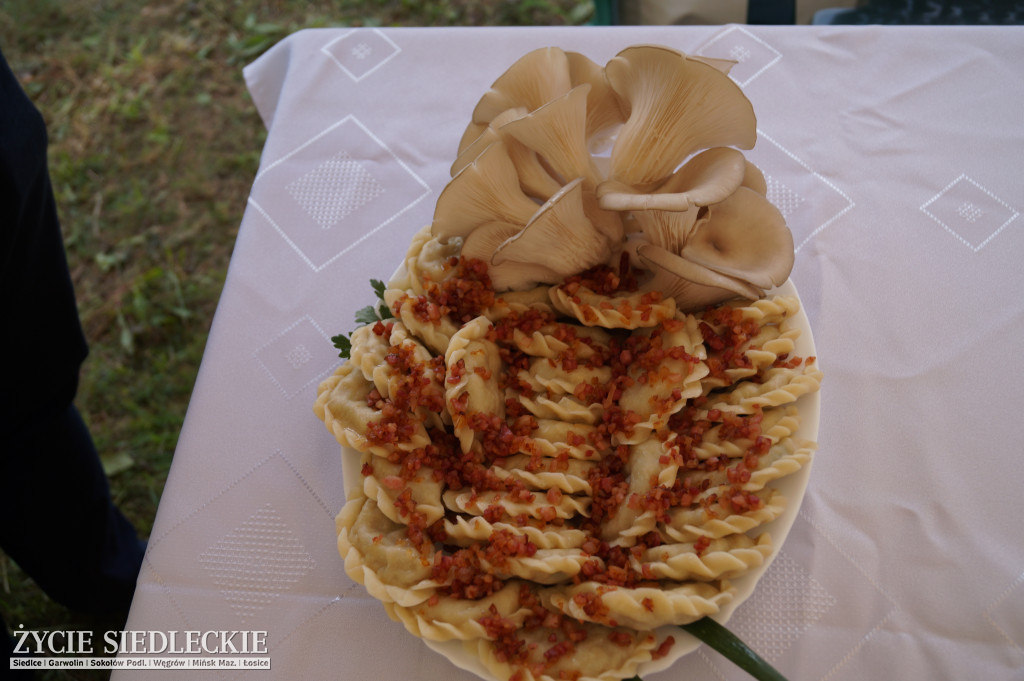 Najlepsze pierogi tylko w Miedznie
