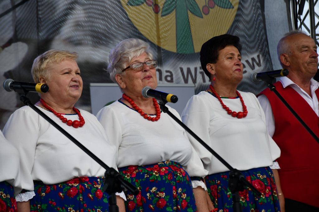 XIV Festiwal Kuchni Regionalnej w Wiśniewie