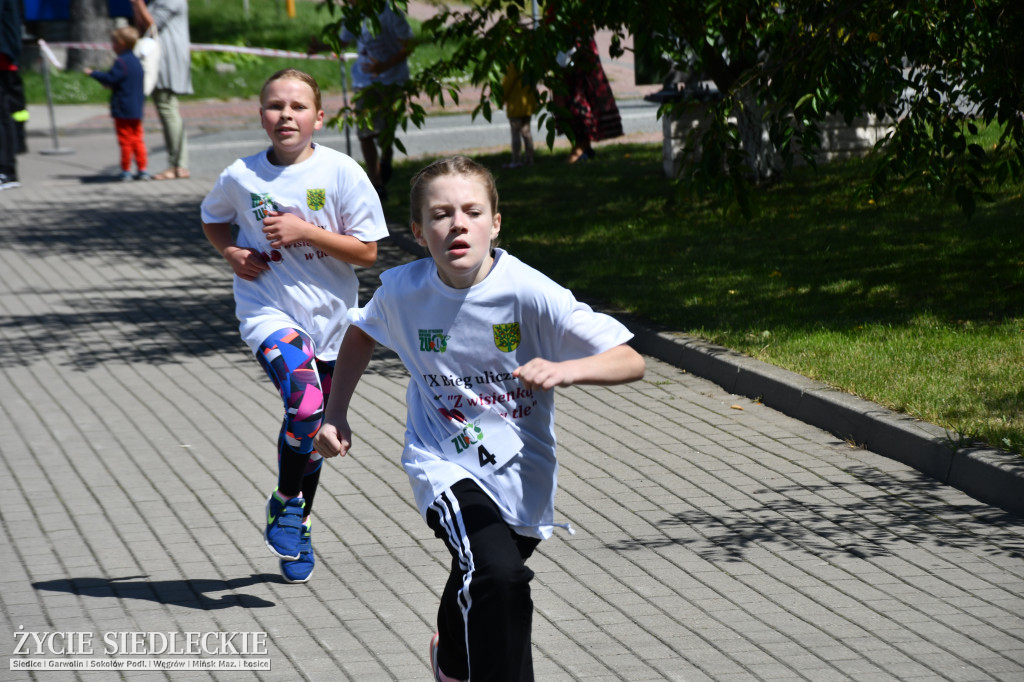 XIV Festiwal Kuchni Regionalnej w Wiśniewie