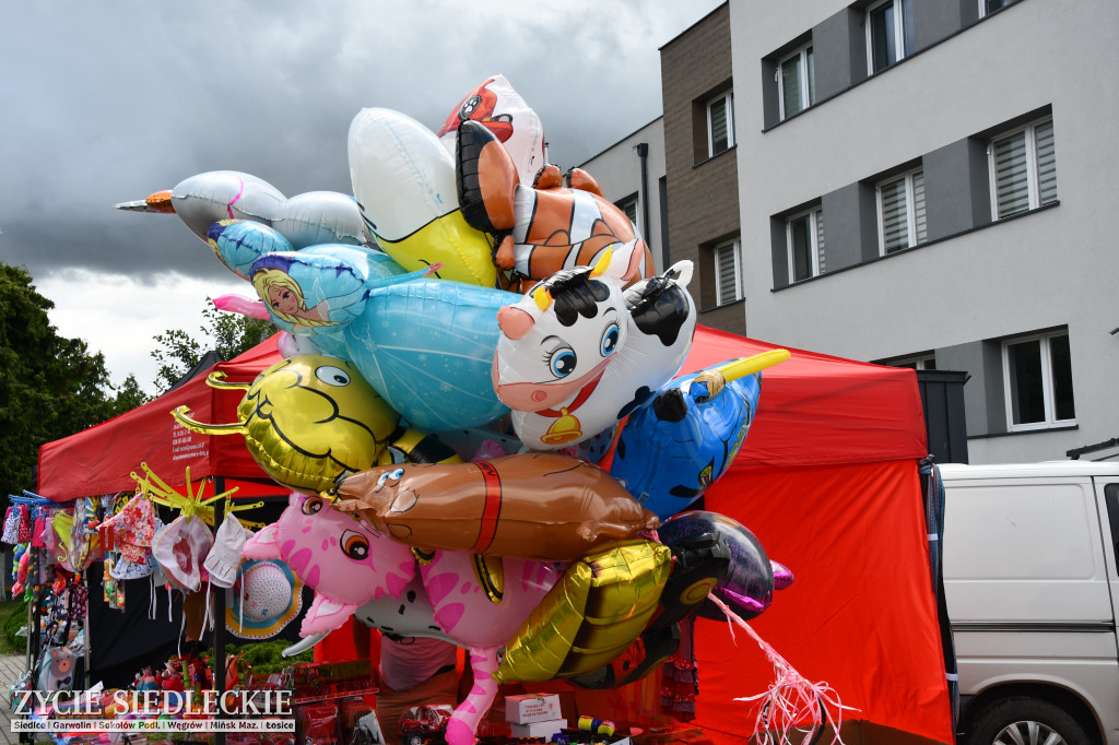 XIV Festiwal Kuchni Regionalnej w Wiśniewie