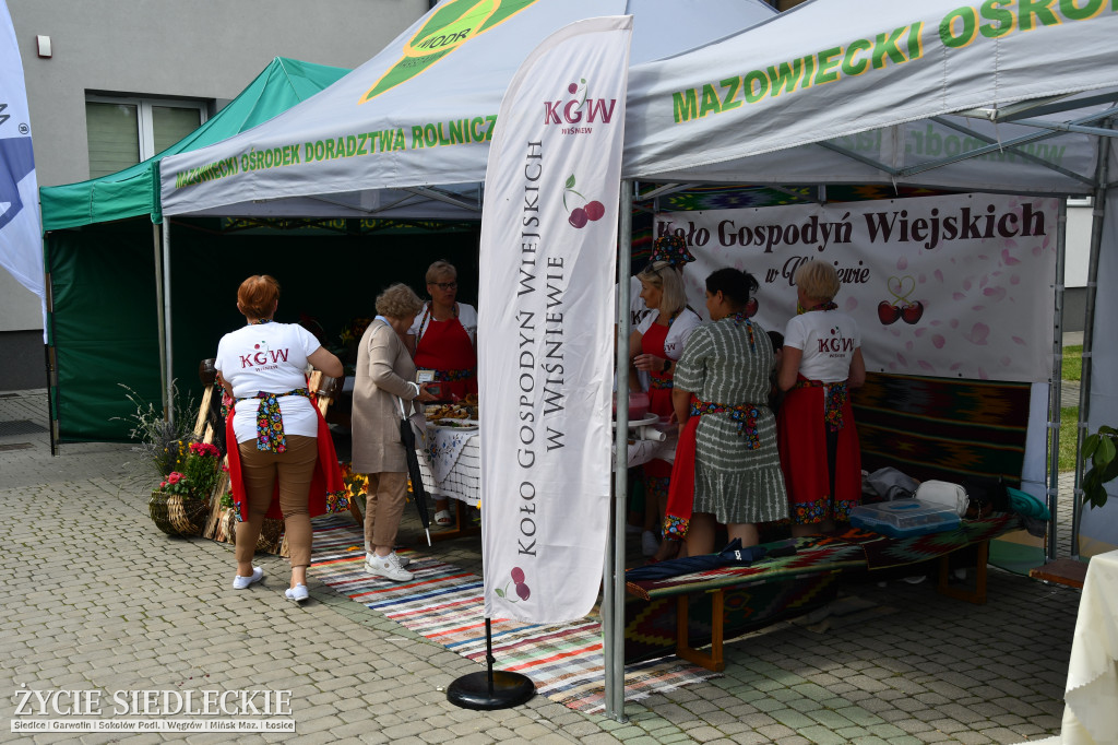 XIV Festiwal Kuchni Regionalnej w Wiśniewie