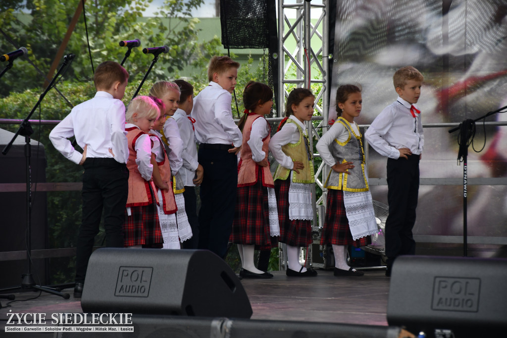 XIV Festiwal Kuchni Regionalnej w Wiśniewie