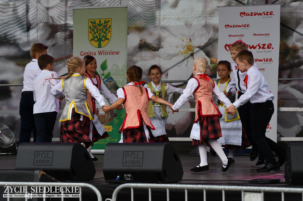 XIV Festiwal Kuchni Regionalnej w Wiśniewie
