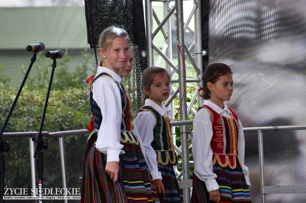 XIV Festiwal Kuchni Regionalnej w Wiśniewie