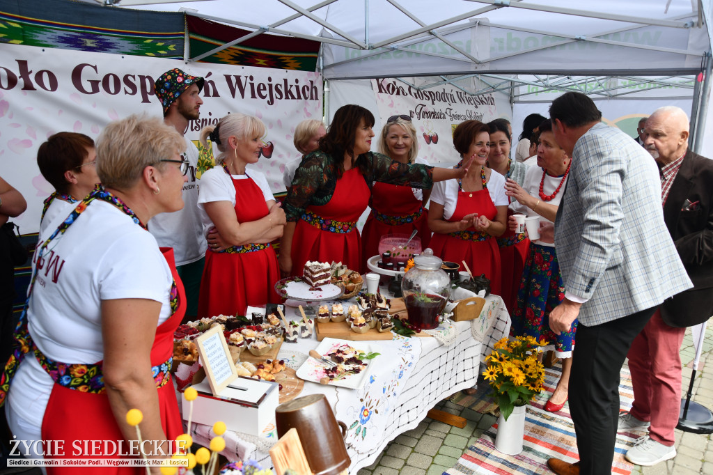 XIV Festiwal Kuchni Regionalnej w Wiśniewie