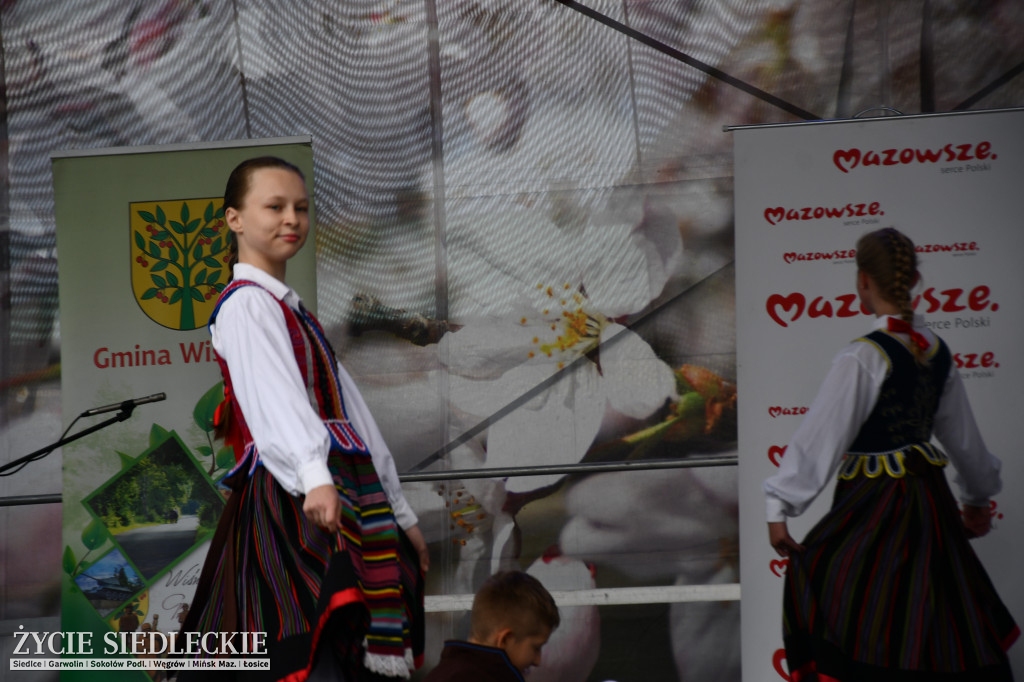 XIV Festiwal Kuchni Regionalnej w Wiśniewie