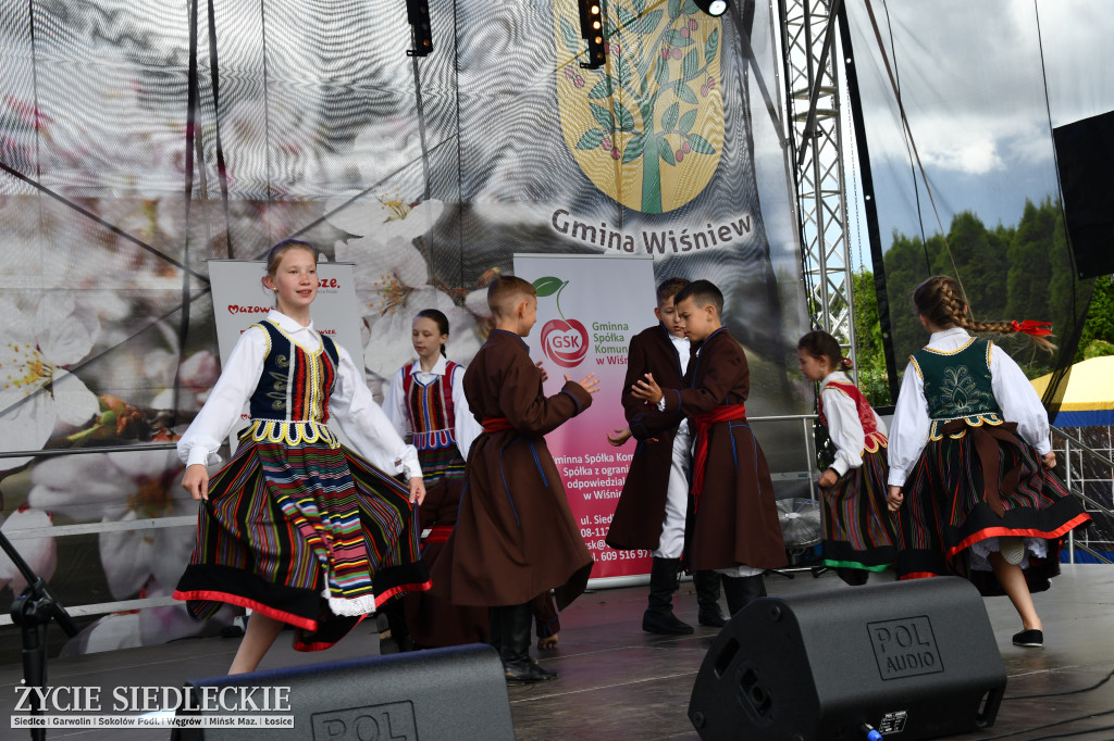 XIV Festiwal Kuchni Regionalnej w Wiśniewie