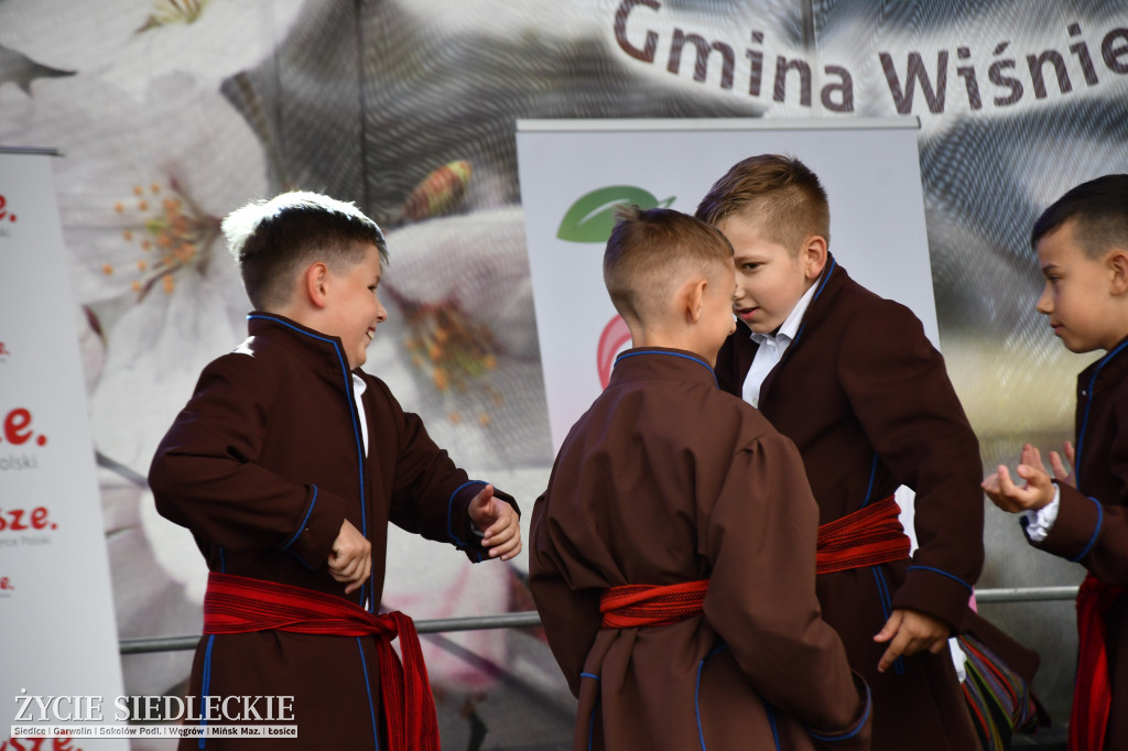 XIV Festiwal Kuchni Regionalnej w Wiśniewie