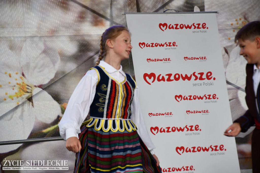 XIV Festiwal Kuchni Regionalnej w Wiśniewie