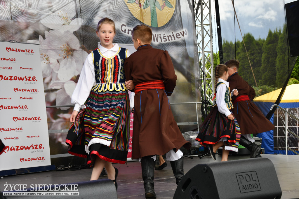 XIV Festiwal Kuchni Regionalnej w Wiśniewie