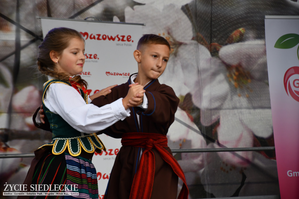 XIV Festiwal Kuchni Regionalnej w Wiśniewie