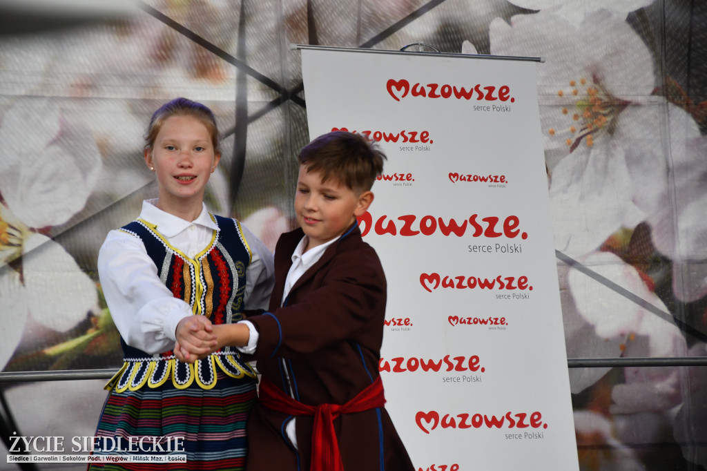 XIV Festiwal Kuchni Regionalnej w Wiśniewie