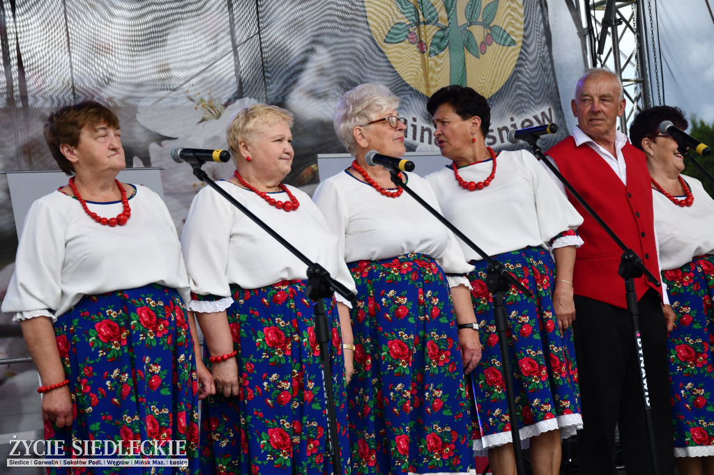 XIV Festiwal Kuchni Regionalnej w Wiśniewie