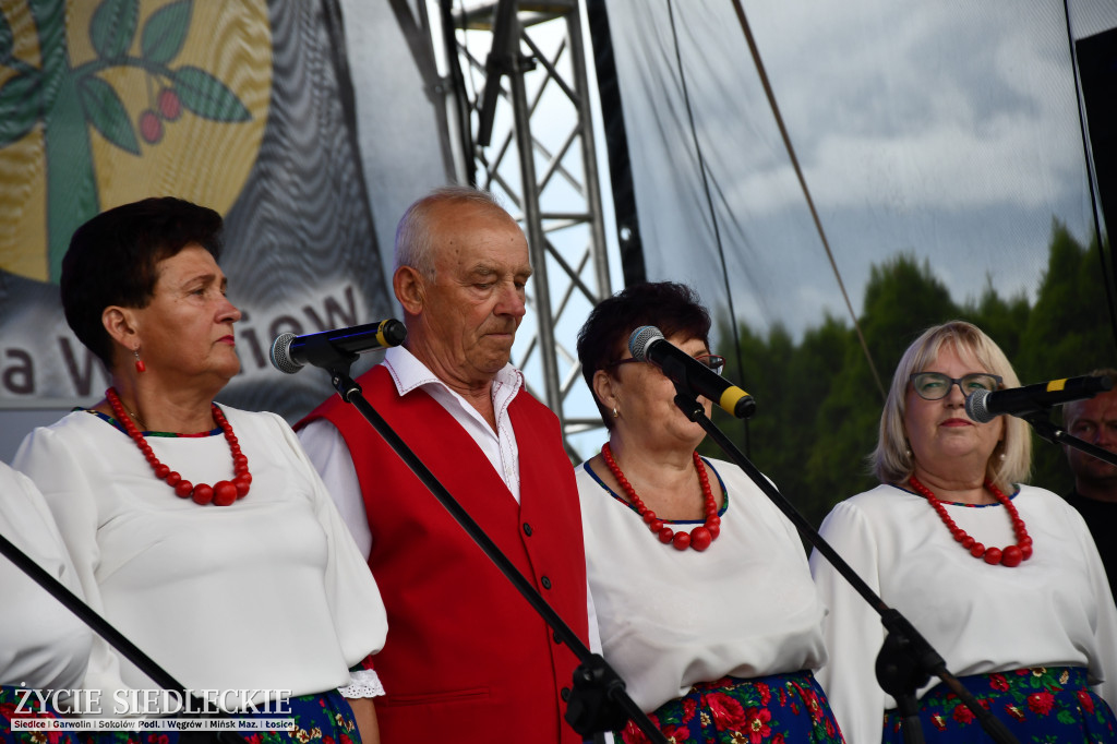 XIV Festiwal Kuchni Regionalnej w Wiśniewie