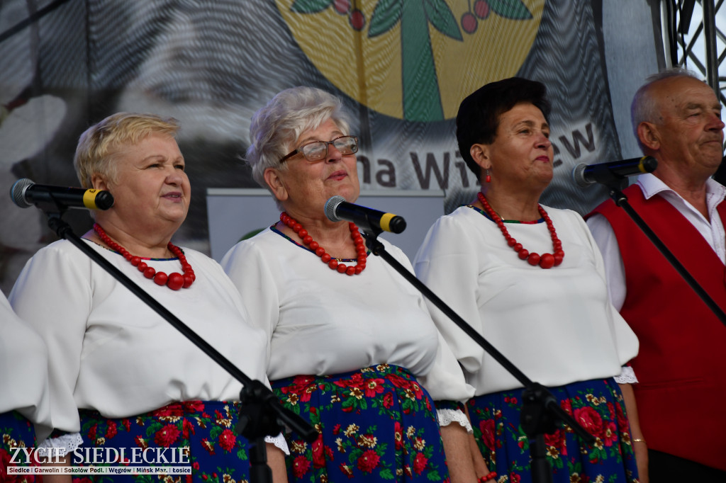 XIV Festiwal Kuchni Regionalnej w Wiśniewie