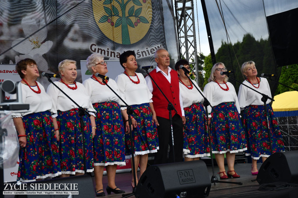 XIV Festiwal Kuchni Regionalnej w Wiśniewie
