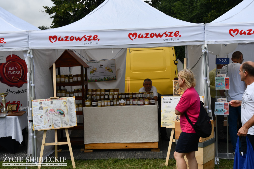 MAZOpiknik w Siedlcach