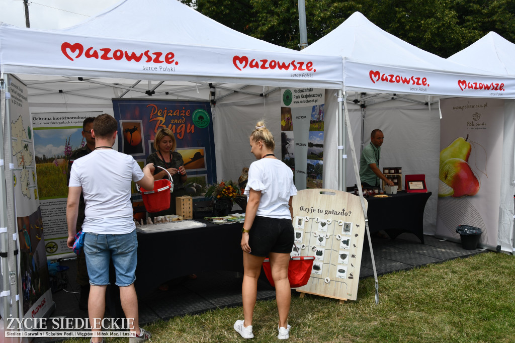 MAZOpiknik w Siedlcach