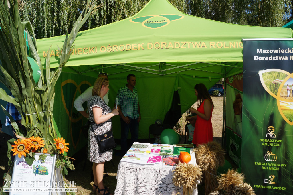 Dożynki Powiatowe w Sokołowie Podlaskim