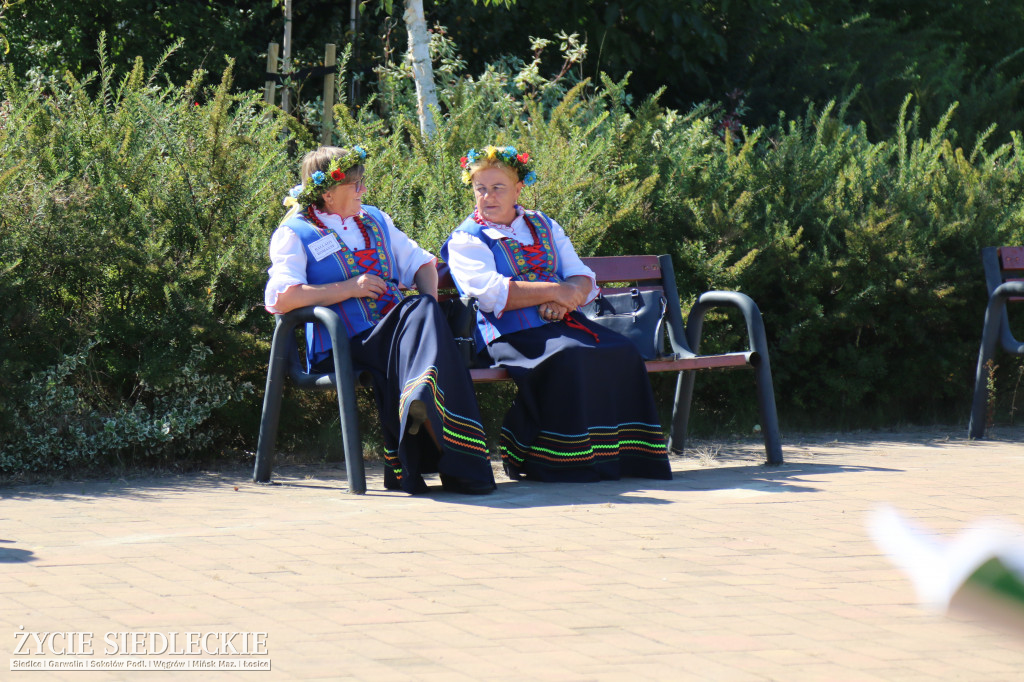 Narodowe Czytanie w Starej Kornicy