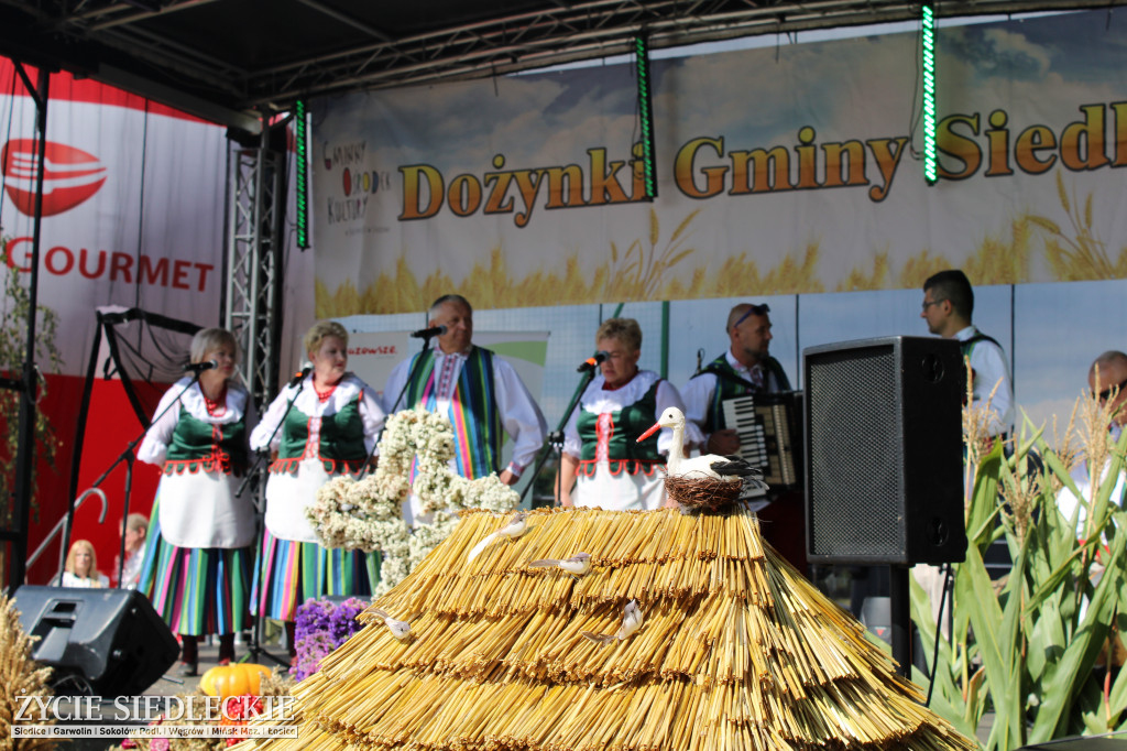 Gminne Dożynki w Chodowie