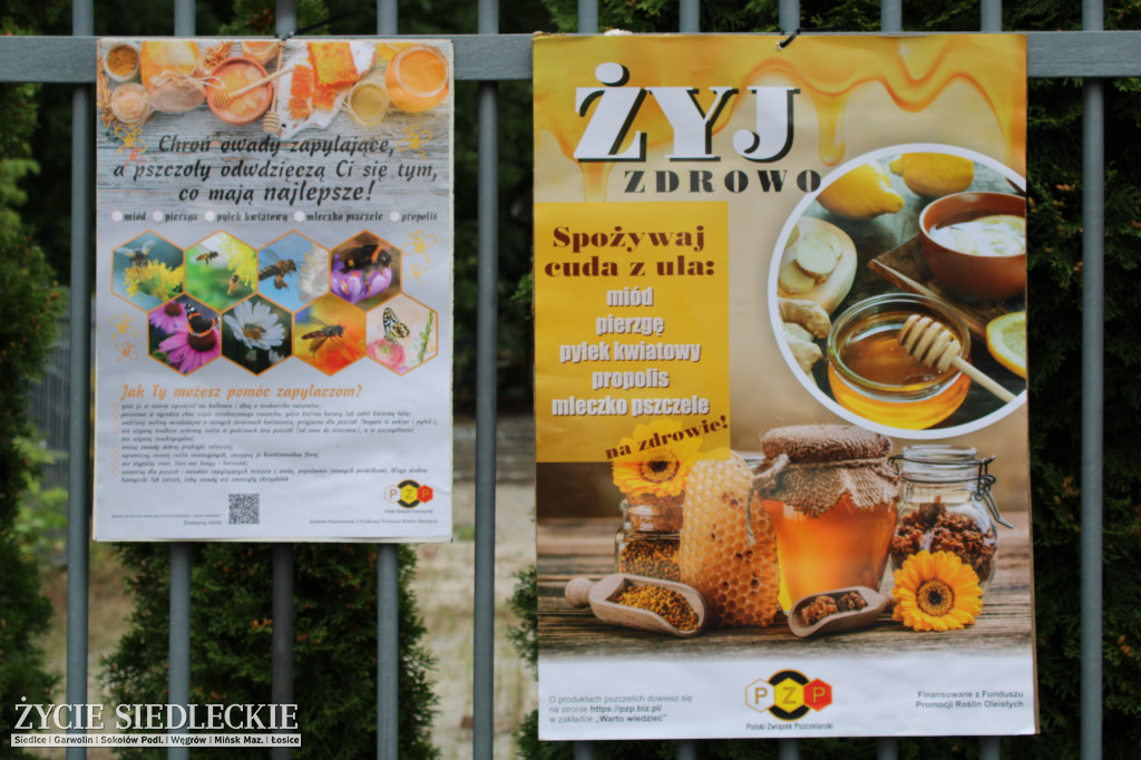 Targi miodu w Siedlcach
