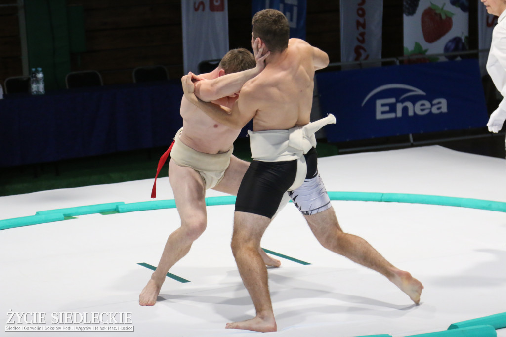 Puchar Europy w sumo