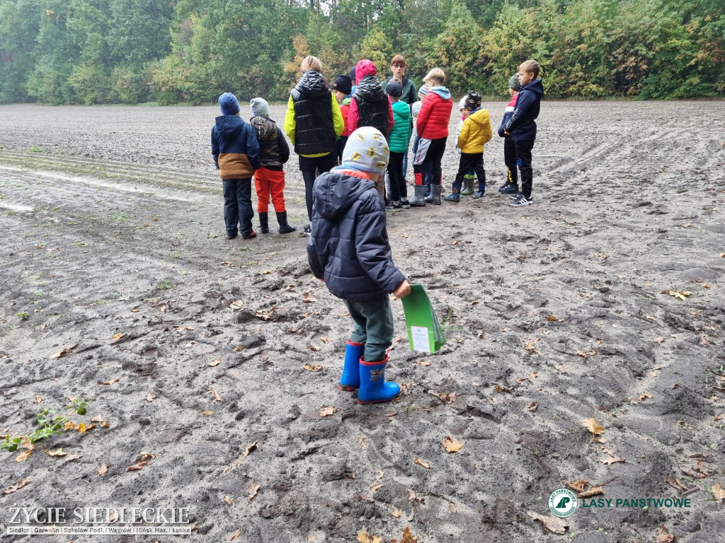 Leśne treningi Pogoni