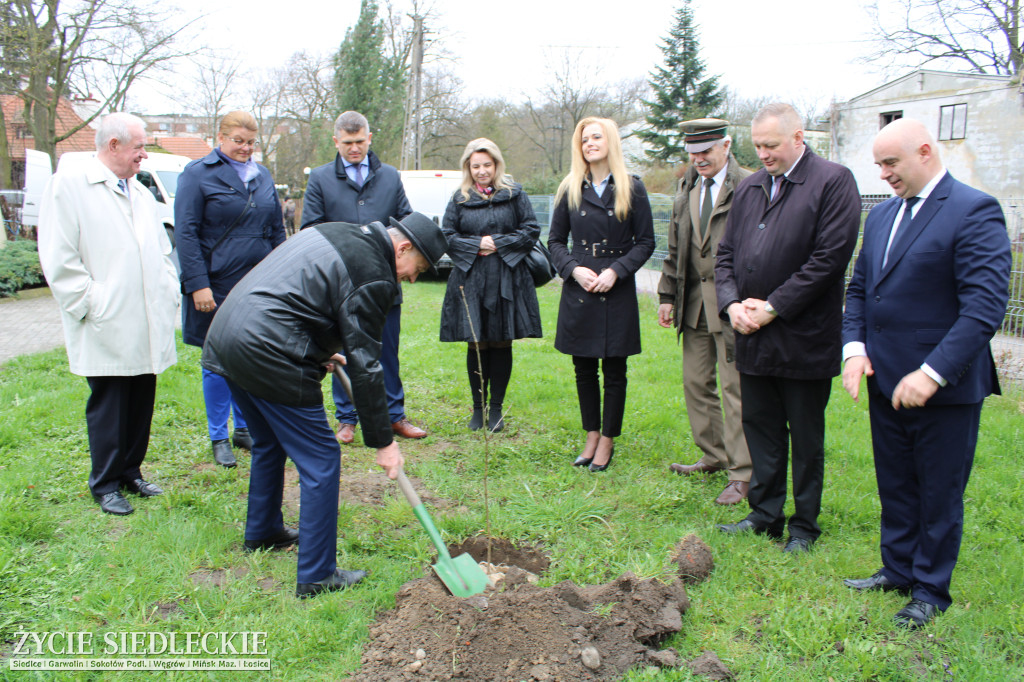 Wiosna na polu i w ogrodzie