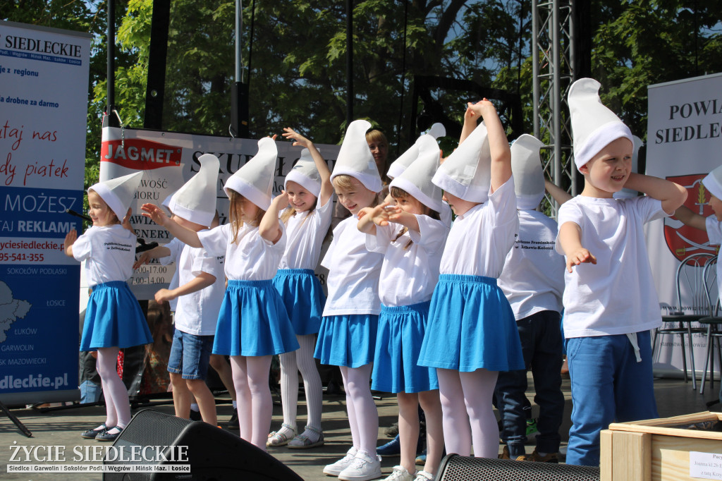 Piknik w Żelkowie-Kolonii