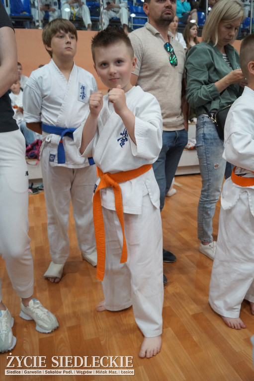 Międzynarodowy Turniej Karate Seikyokushin