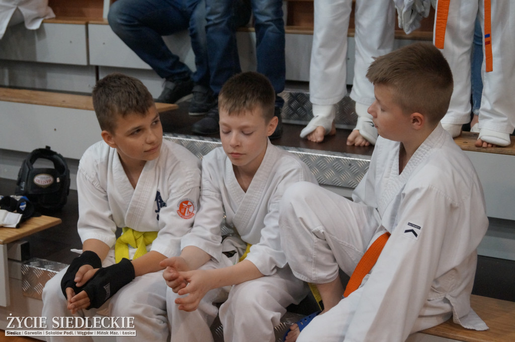 Międzynarodowy Turniej Karate Seikyokushin