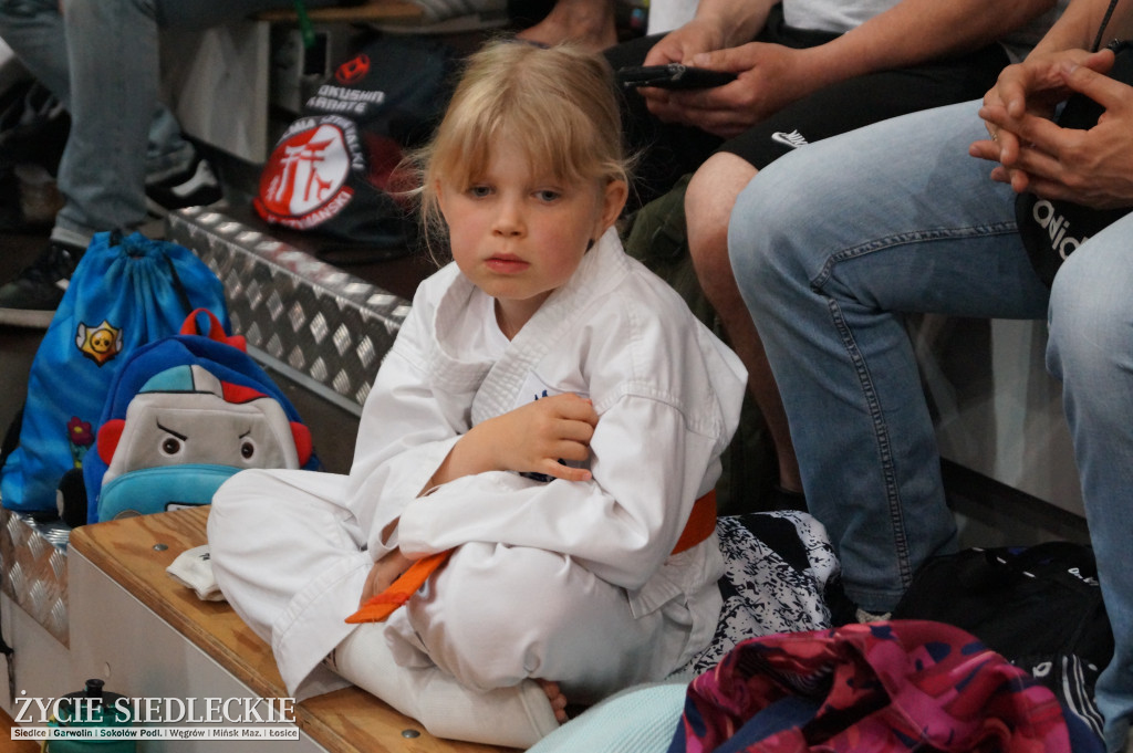 Międzynarodowy Turniej Karate Seikyokushin