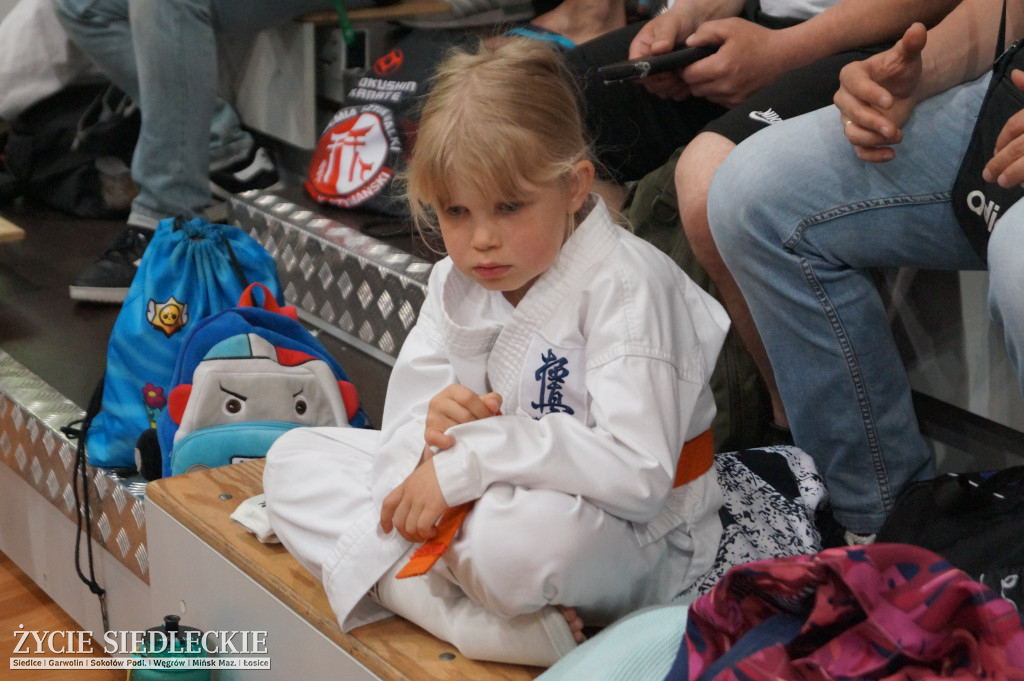 Międzynarodowy Turniej Karate Seikyokushin