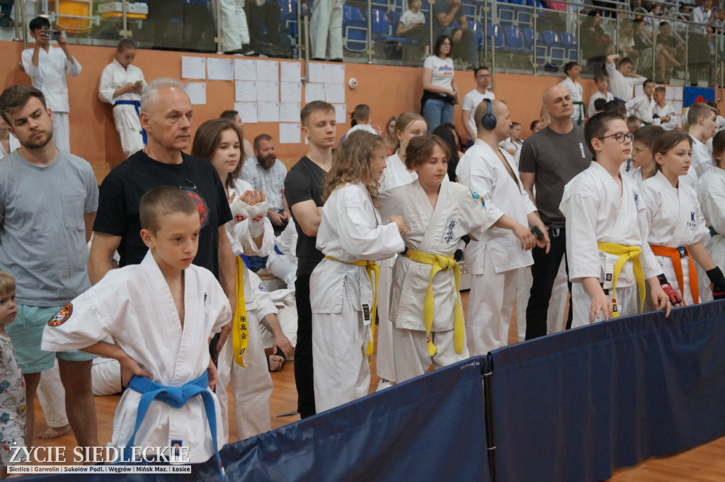 Międzynarodowy Turniej Karate Seikyokushin
