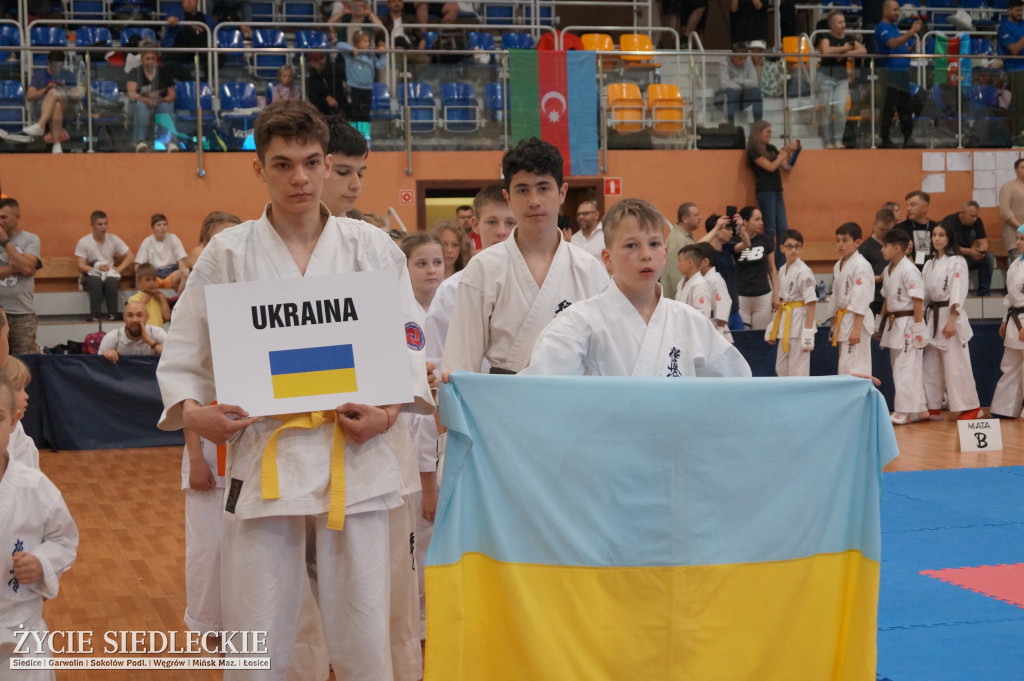 Międzynarodowy Turniej Karate Seikyokushin