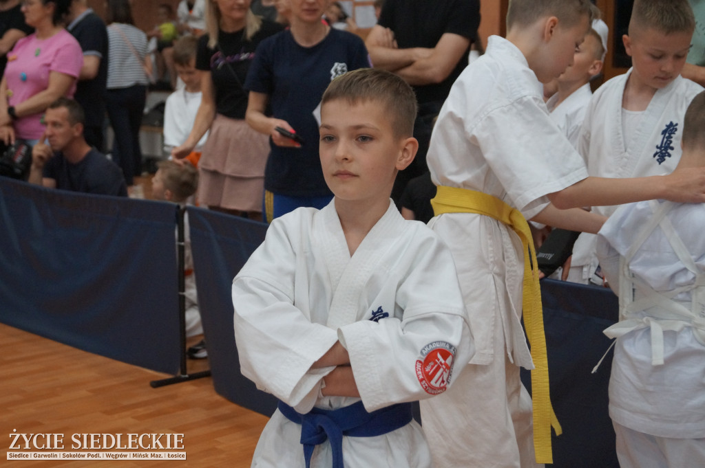 Międzynarodowy Turniej Karate Seikyokushin