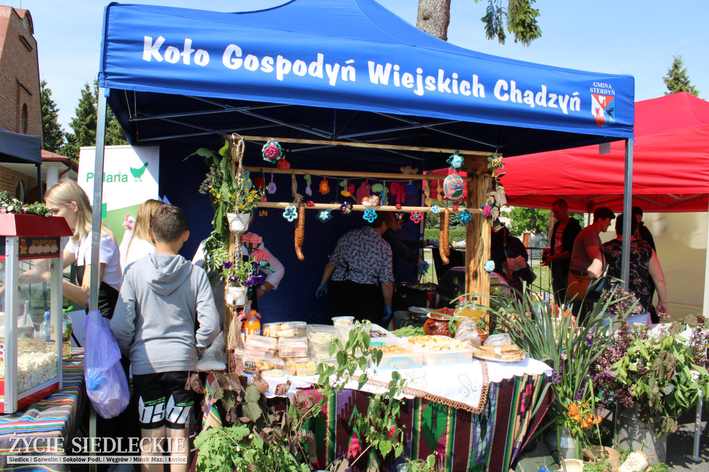 Festiwal Smaków w gminie Repki