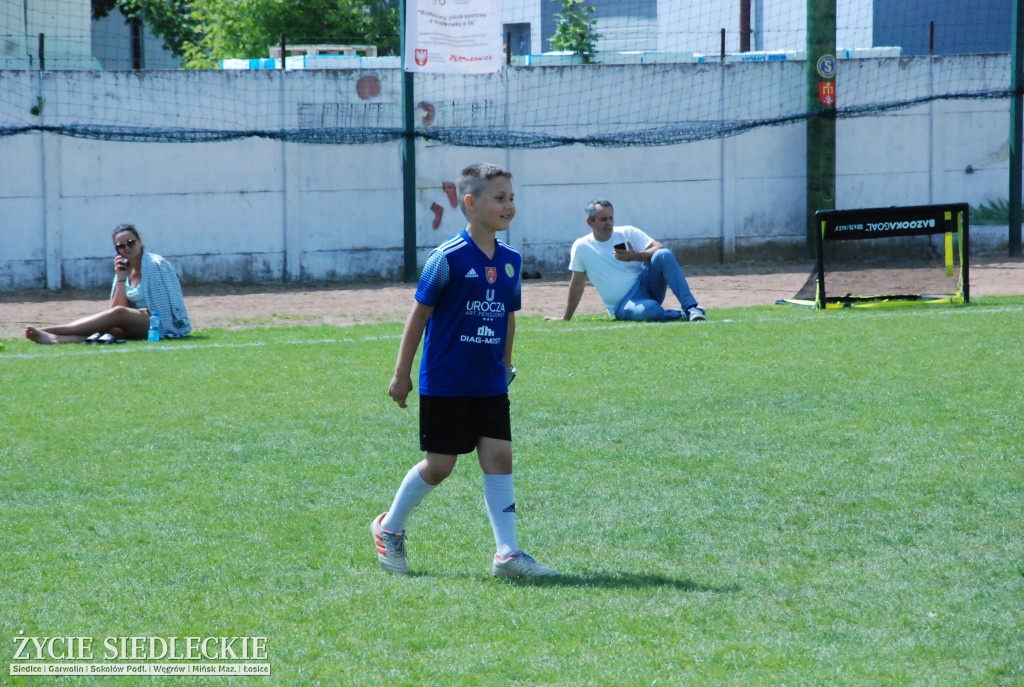 Piknik ze sportem w tle