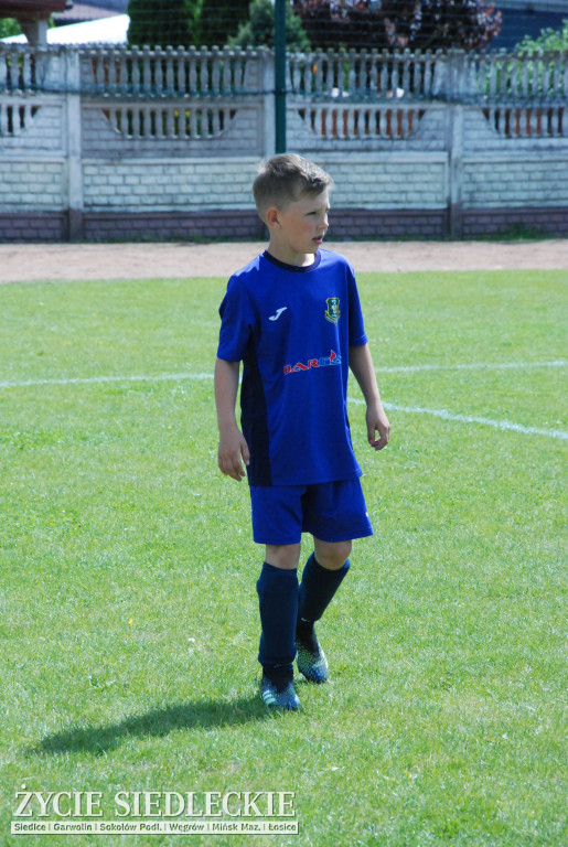 Piknik ze sportem w tle