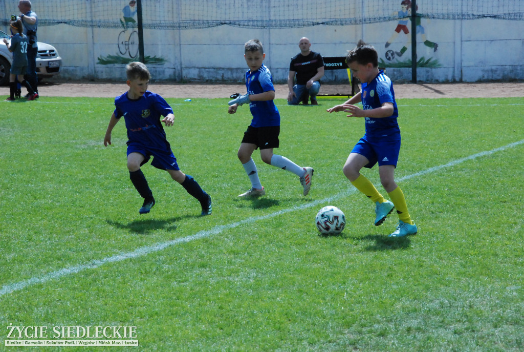 Piknik ze sportem w tle