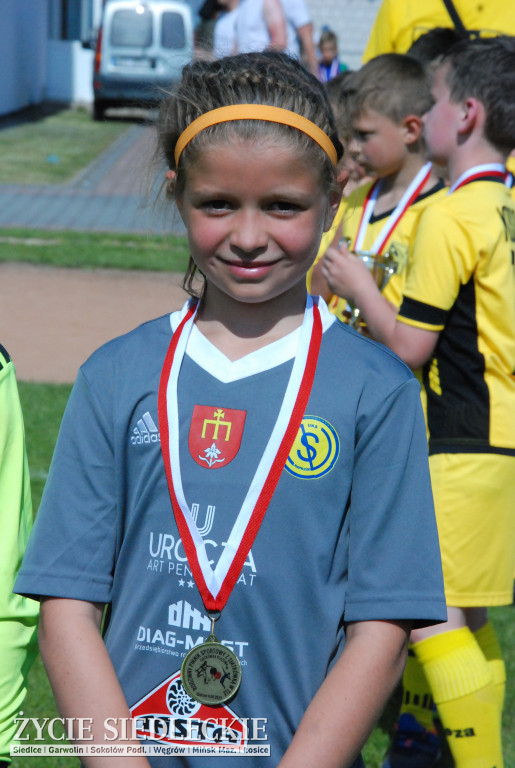Piknik ze sportem w tle
