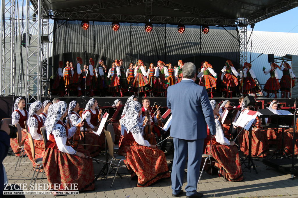 Mazowsze w Łosicach