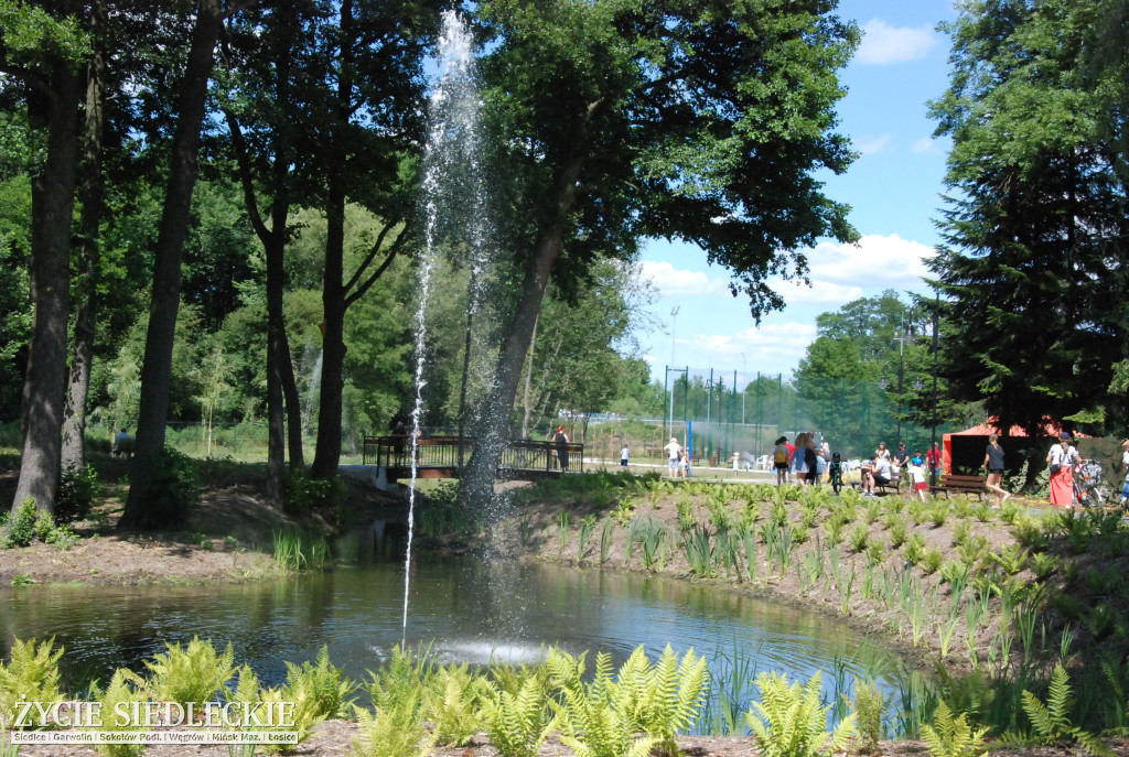 Park w Węgrowie