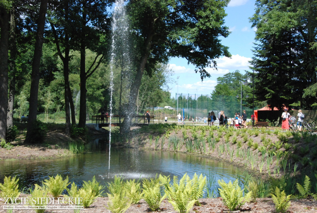 Park w Węgrowie
