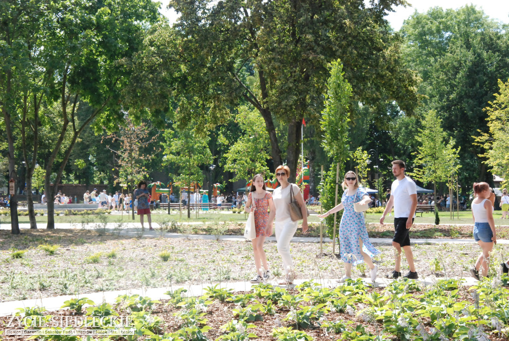Park w Węgrowie