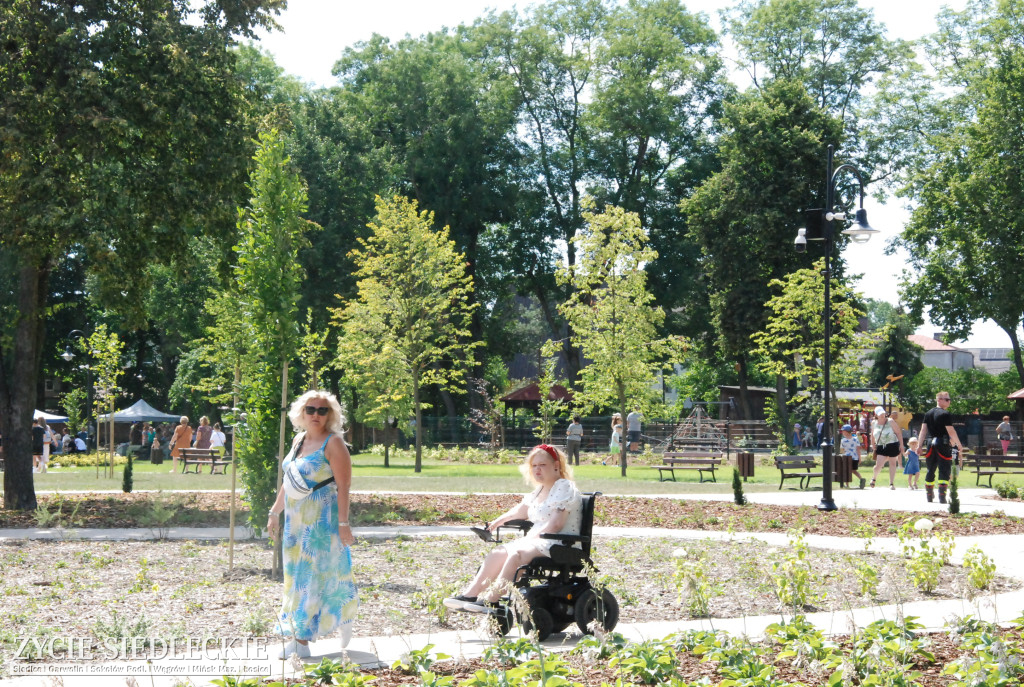 Park w Węgrowie