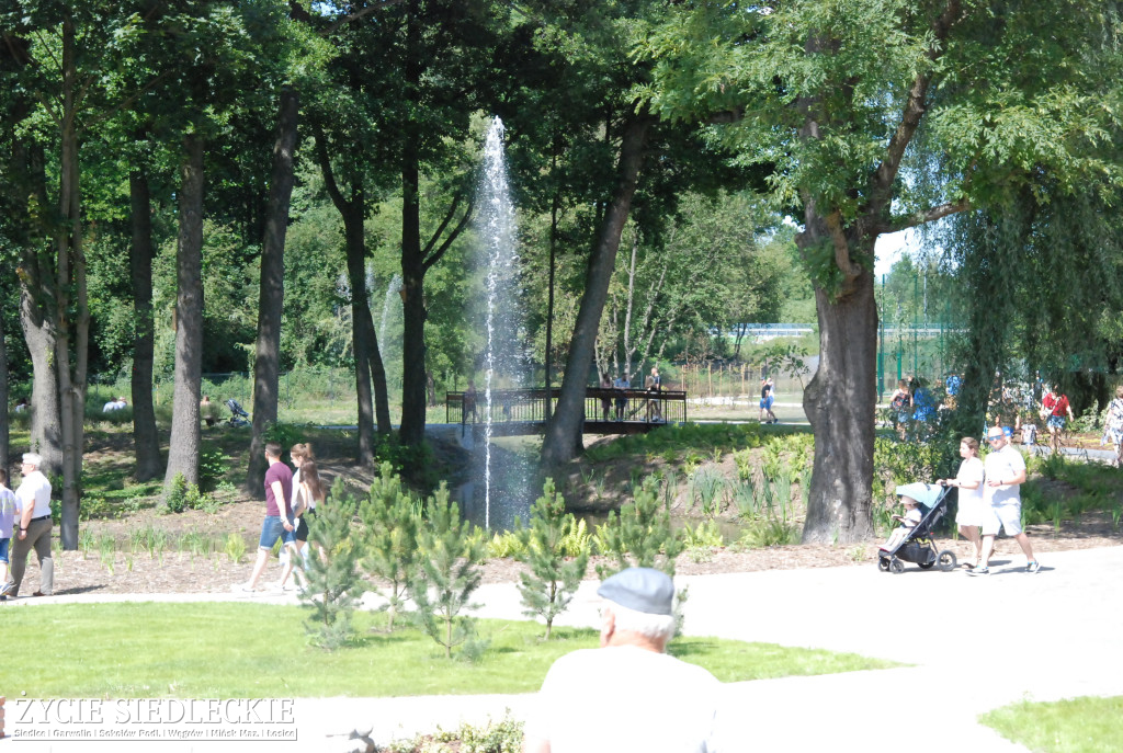 Park w Węgrowie