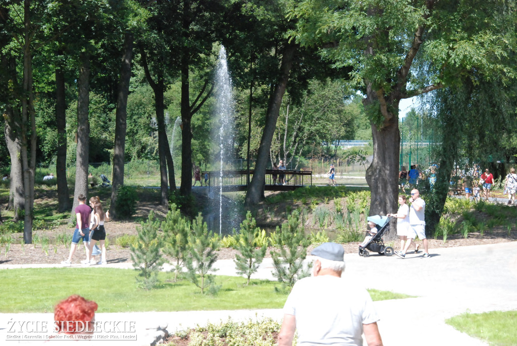 Park w Węgrowie